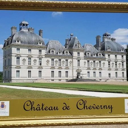 Les Capucines Proche Beauval & Chateaux Сент-Эньян Экстерьер фото