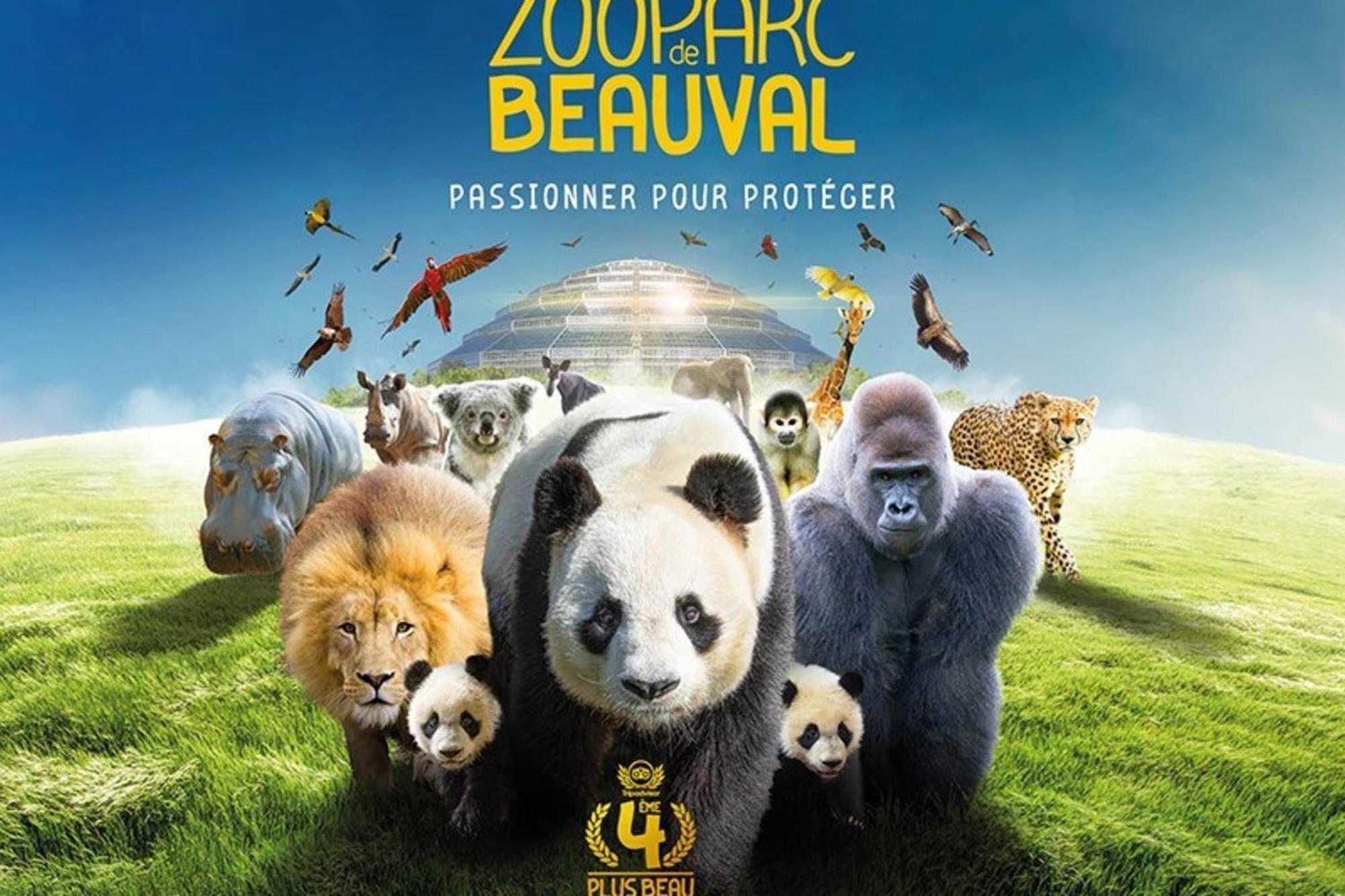 Les Capucines Proche Beauval & Chateaux Сент-Эньян Экстерьер фото